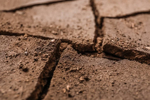 Texture of dry soil, closeup view