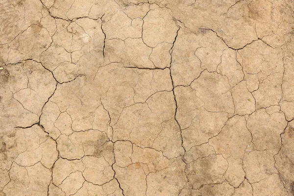 Texture Dry Soil Closeup View — Stock Photo, Image