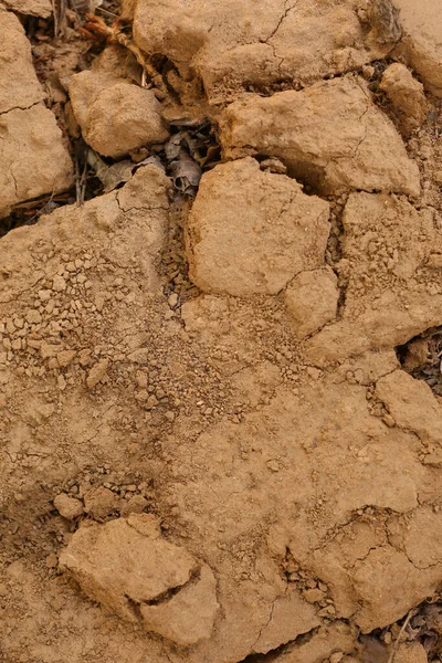 乾燥した土壌の質感 クローズアップビュー — ストック写真
