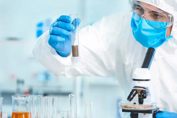 Scientist Studying Samples Soil Laboratory — Stock Photo, Image