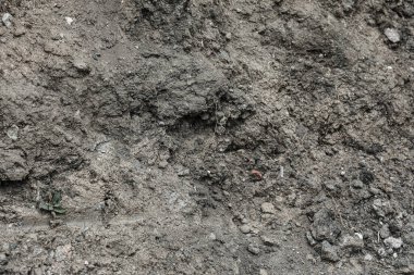 Dışarıdaki dağ yüzeyi manzarası