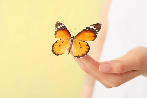 Mujer Con Hermosa Mariposa Primer Plano —  Fotos de Stock