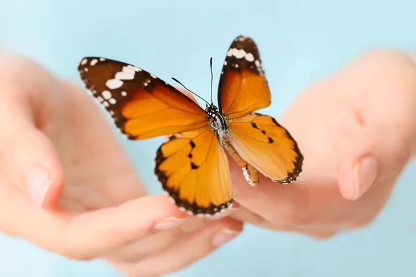 Жінка Красивим Метеликом Крупним Планом — стокове фото