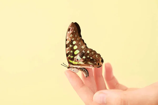 Жіноча Рука Красивим Метеликом Кольоровому Фоні Крупним Планом — стокове фото