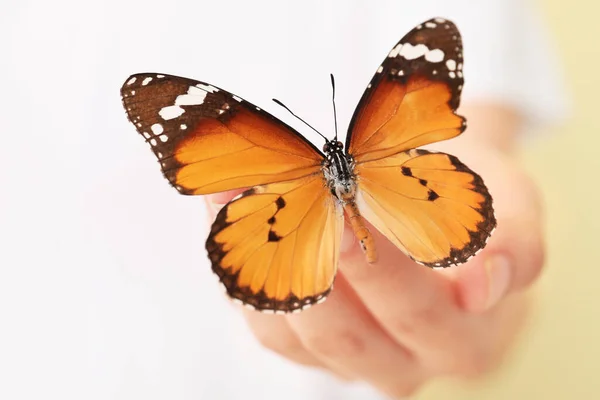Жінка Красивим Метеликом Крупним Планом — стокове фото