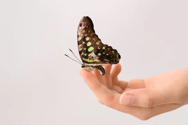 Жіноча Рука Красивим Метеликом Світлому Фоні Крупним Планом — стокове фото