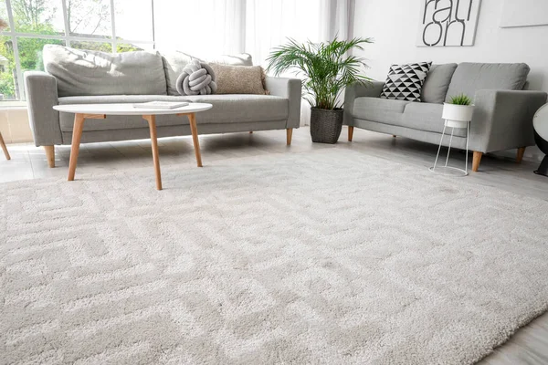Stylish Interior Living Room Carpet Sofas — Stock Photo, Image