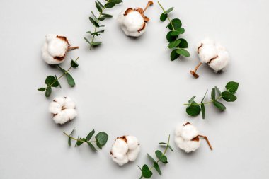 Açık arkaplanda güzel pamuk çiçekleri olan kompozisyon