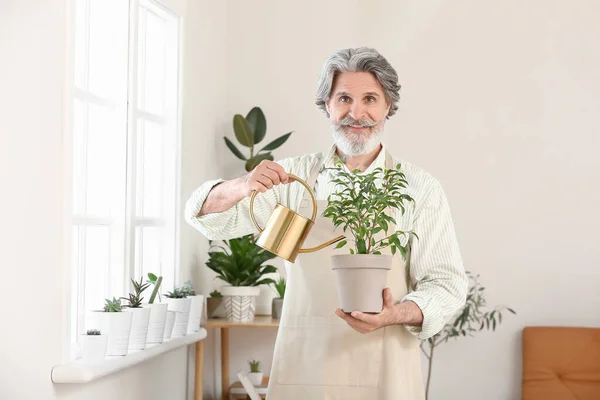 Senior Man Watering Plants Home — Stock Photo, Image