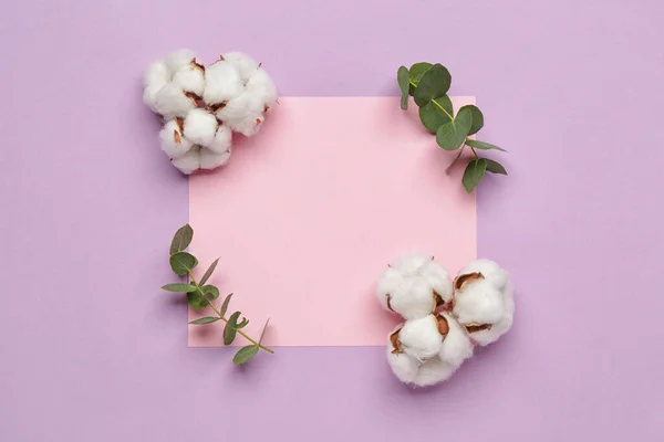 Blank Card Beautiful Cotton Flowers Eucalyptus Leaves Color Background — Stock Photo, Image