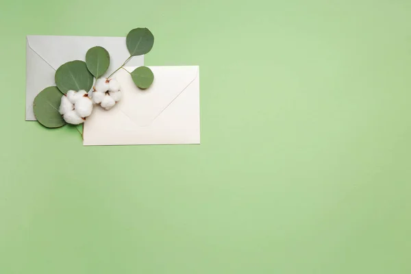 Mooie Katoenen Bloemen Enveloppen Eucalyptus Bladeren Kleur Achtergrond — Stockfoto