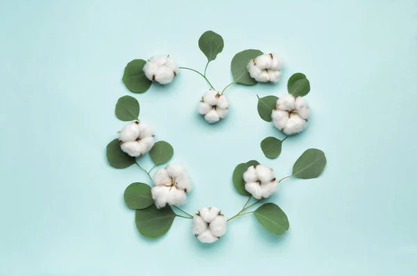 Heart Made Beautiful Cotton Flowers Eucalyptus Leaves Color Background — Stock Photo, Image