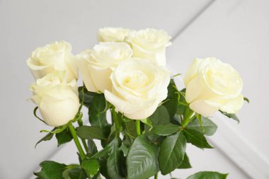 Açık arkaplanda güzel beyaz güller