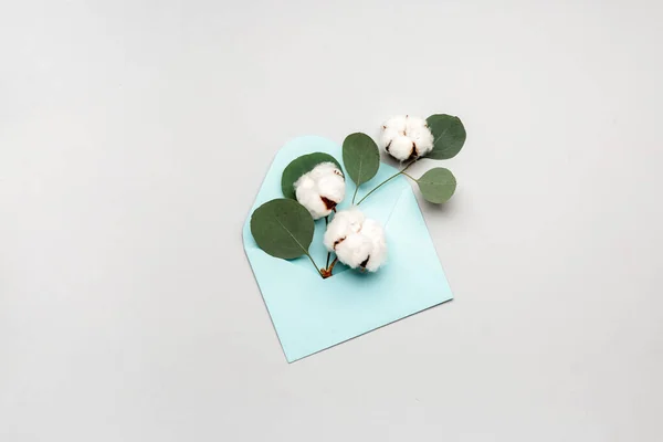 Envelope Beautiful Cotton Flowers Eucalyptus Leaves Light Background — Stock Photo, Image