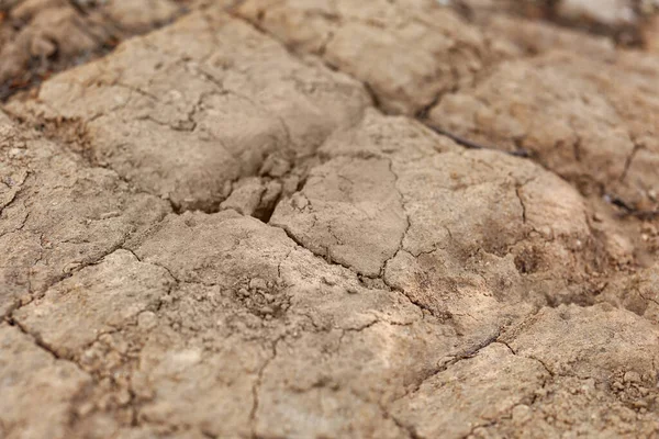 Texture Dry Soil Closeup View — Stock Photo, Image