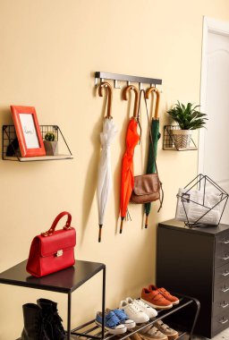 Şemsiyeli ve ayakkabılı modern salonun şık bir iç mekanı.