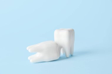 Renk arkaplanındaki diş modeli