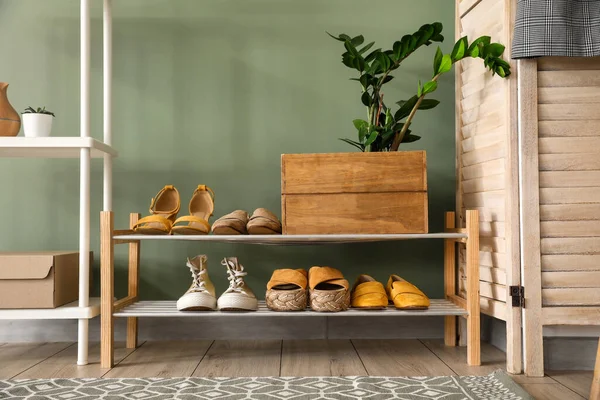 Interior Elegante Salão Moderno Com Sapatos — Fotografia de Stock