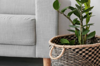 Odasında çiçek olan bir sepet.