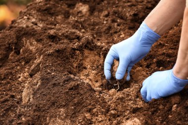 Adam dışarıda zengin toprağı test ediyor.