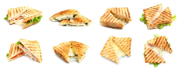 Вкусные Бутерброды Сыром Белом Фоне — стоковое фото