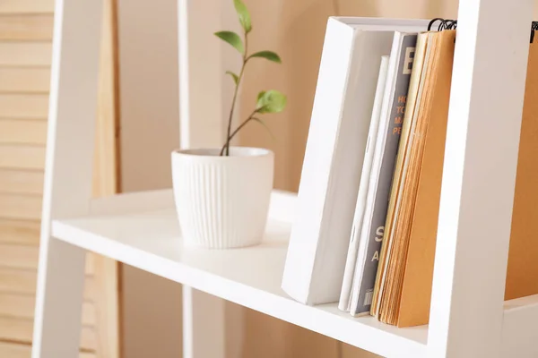 Unidade Prateleira Com Livros Planta Sala Quarto — Fotografia de Stock