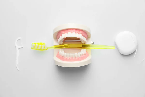 Modelo Mandíbula Con Cepillo Dientes Hilo Dental Sobre Fondo Blanco —  Fotos de Stock