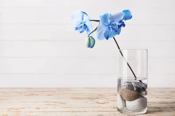 Beautiful Orchid Flowers Vase Table — Stock Photo, Image