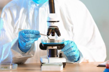 Laboratuvarda mikroskopla çalışan bilim adamı