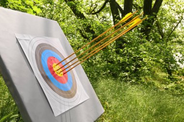 Okçuluk için ormanda oklar var.