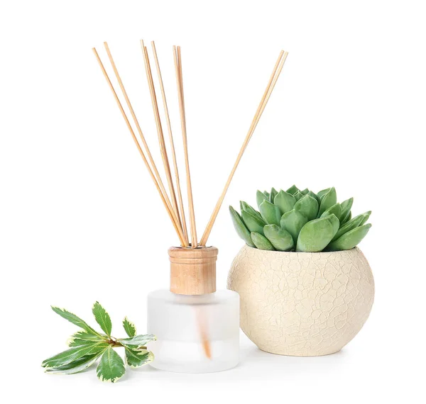 Reed Diffuser Plants White Background — Stock Photo, Image