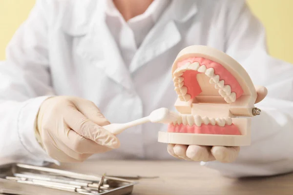 Dentiste Avec Modèle Mâchoire Brosse Dents Gros Plan — Photo