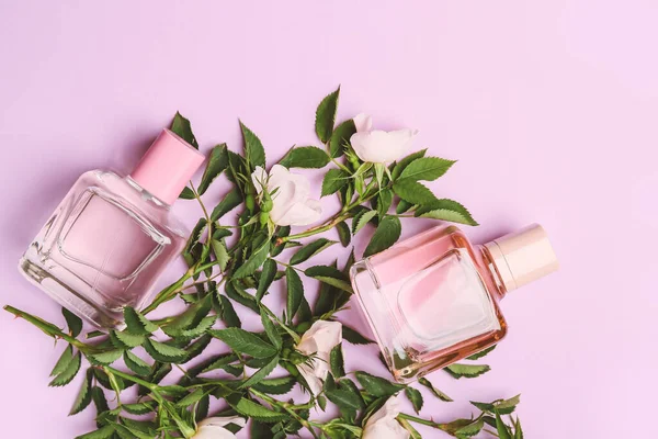 Bottles Floral Perfume Color Background — Stock Photo, Image