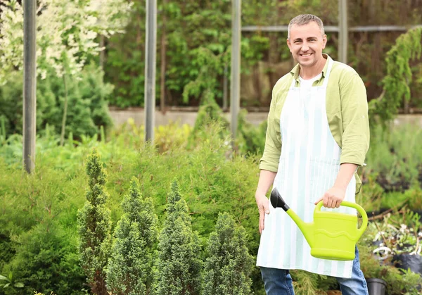 Jardinero Masculino Con Regadera Invernadero — Foto de Stock