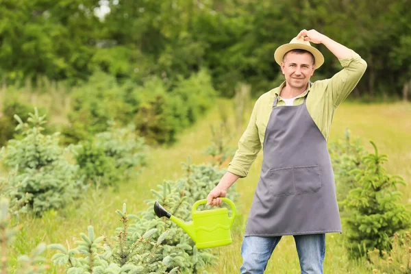 Jardinero Masculino Con Regadera Aire Libre — Foto de Stock