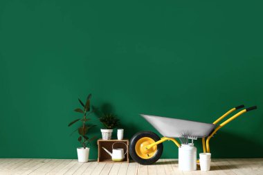 Renkli duvarın yanında bahçe malzemeleri var.