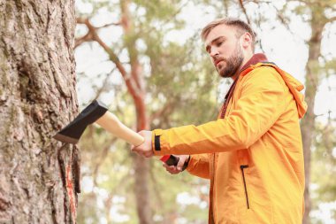 Yakışıklı oduncu ormandaki ağaçları kesiyor.