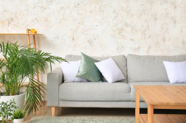 Modern stil oturma odasının içi
