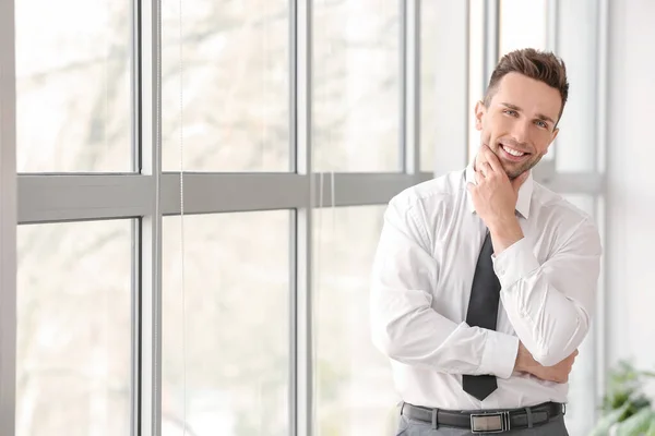 Portrait Handsome Businessman Window Office — Stock Photo, Image