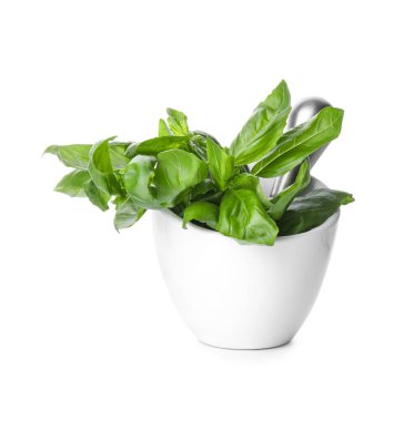 Beyaz üzerine taze yeşil fesleğenli havan ve tokmak.