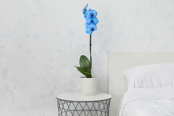 Beautiful Orchid Plant Table Bedroom — Stock Photo, Image