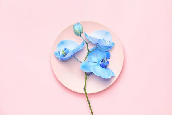 Beautiful Orchid Flowers Plate Color Background — Stock Photo, Image