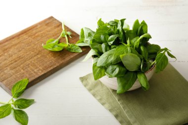 Beyaz arka planda taze yeşil fesleğenli kase