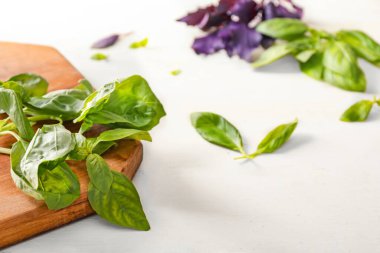 Beyaz arkaplanda taze yeşil fesleğen