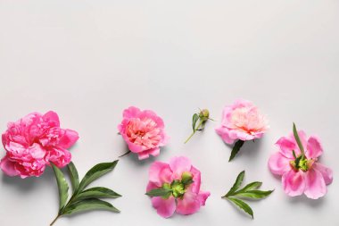 Açık arkaplanda güzel şakayık çiçekleri