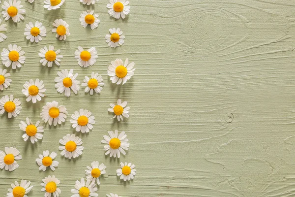 Fresh Chamomile Flowers Wooden Background — Stock Photo, Image