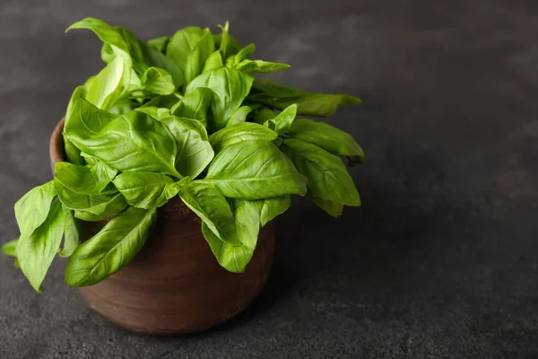 Albahaca Verde Fresca Sobre Fondo Gris —  Fotos de Stock