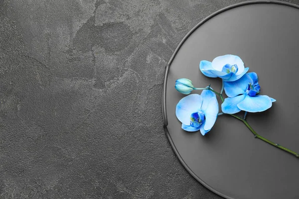 暗い背景に美しい蘭の花とトレイ — ストック写真