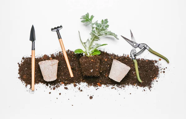 Set Tuingereedschappen Met Plant Grond Witte Ondergrond — Stockfoto