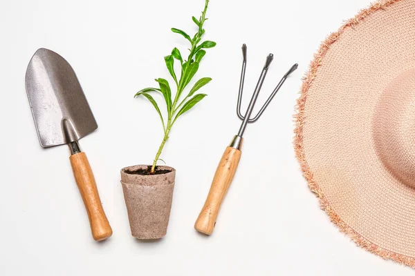 Set Gardening Supplies Plant White Background — Stock Photo, Image